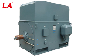 YTM系列磨煤机用高压三相异步电动机 - 六安江淮电机有限公司